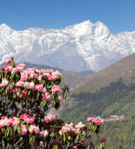 Bhutan in spring