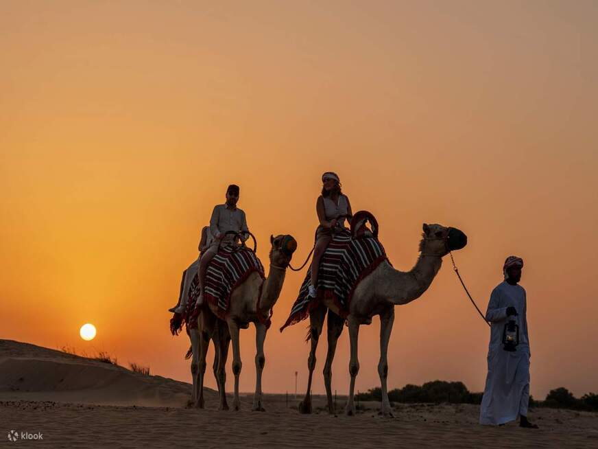 Dubai Night Desert Safari
