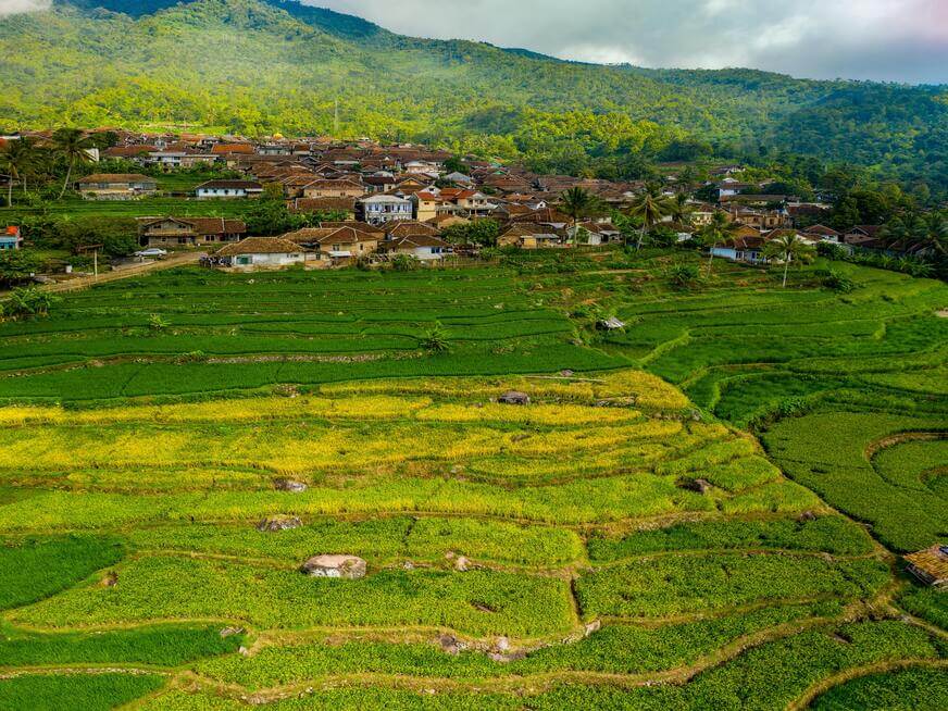 Punakha Valley