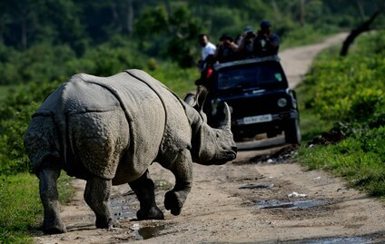 Kaziranga National Park